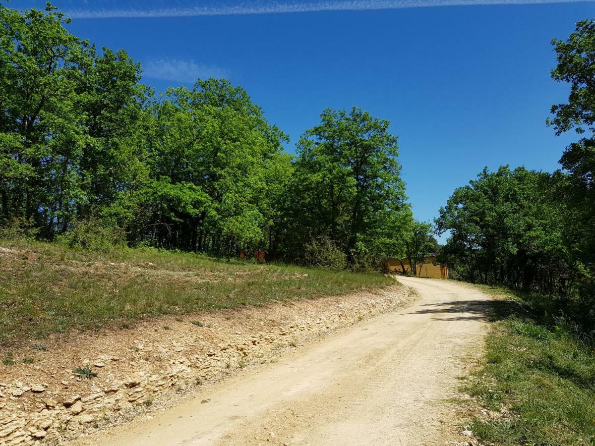 Gites Du Chene Vert Montignac-Lascaux Eksteriør billede