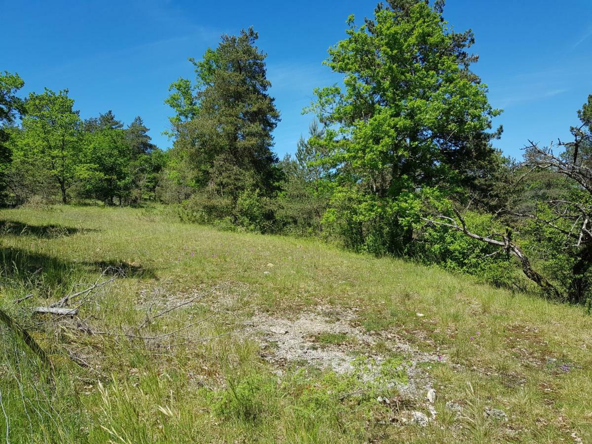 Gites Du Chene Vert Montignac-Lascaux Eksteriør billede